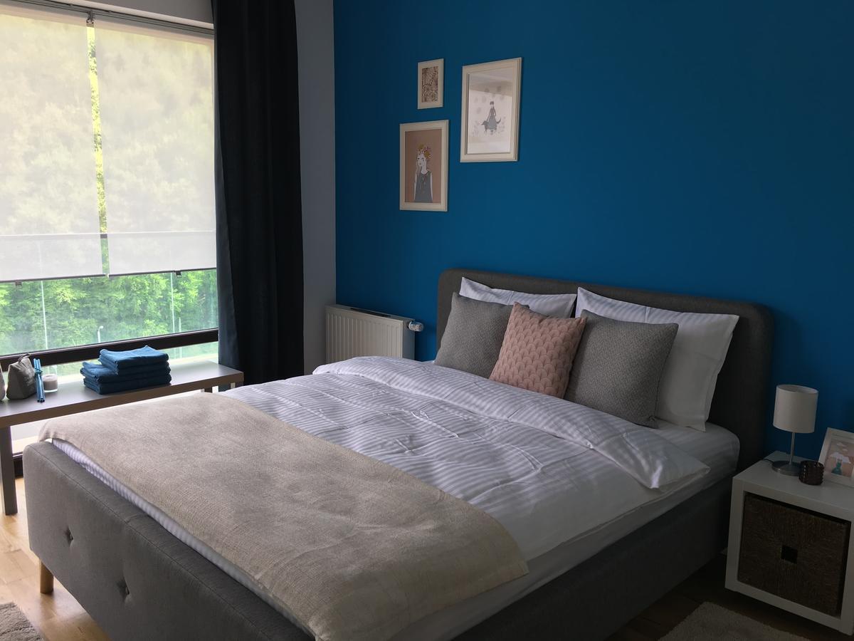 Tampa Gardens - Mountain View Apartment ブラショフ エクステリア 写真